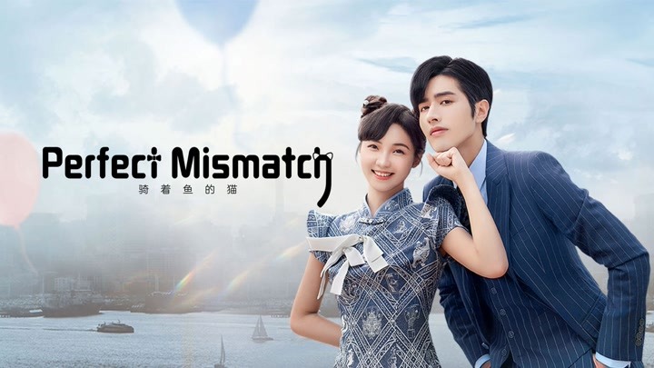Perfect Mismatch - Vj Eddy
