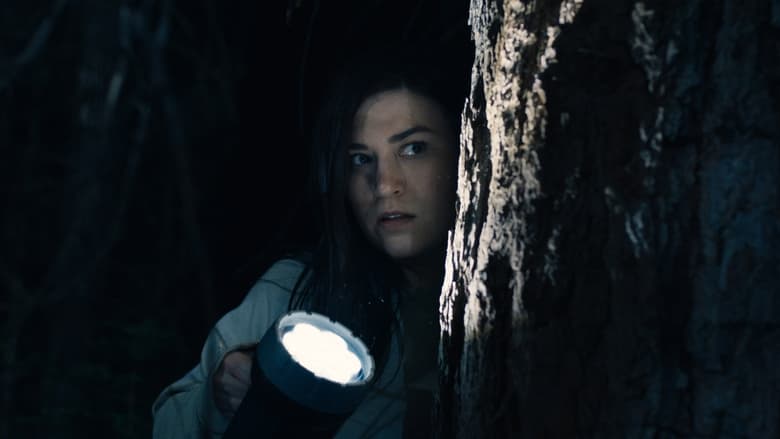 Stranger in the Woods - Vj Muba