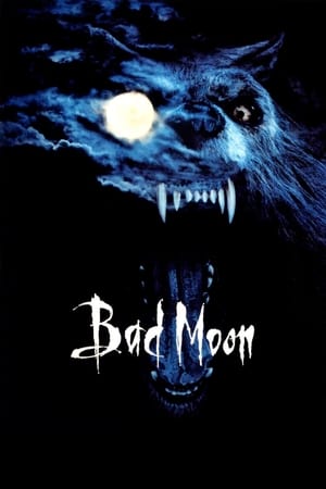 Bad Moon - Vj Junior