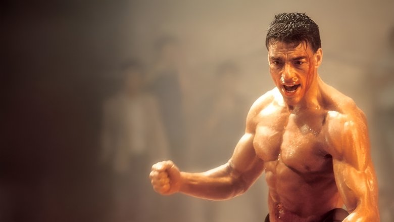 Kickboxer - Vj Junior