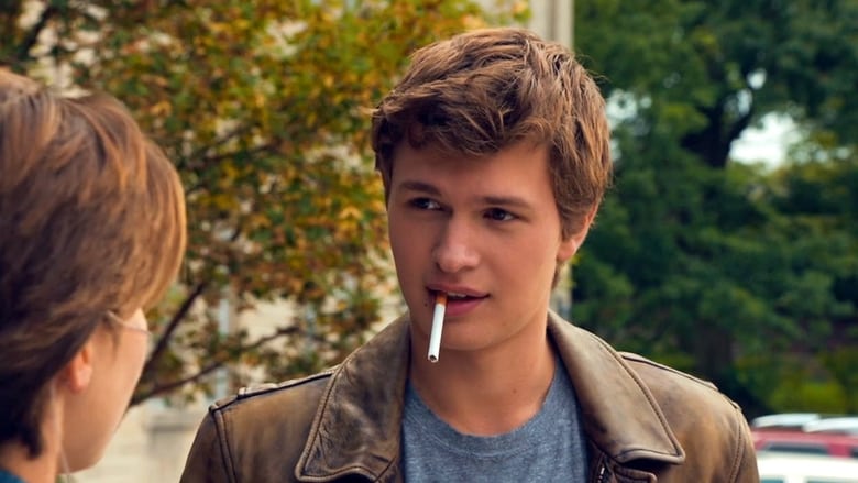 The Fault in Our Stars - Vj Junior