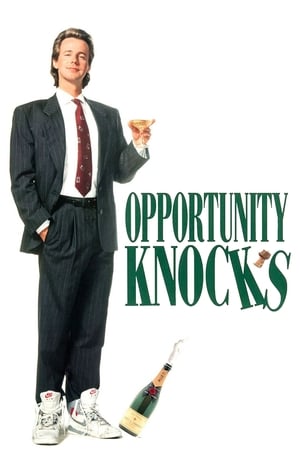 Opportunity Knocks - Vj Mark