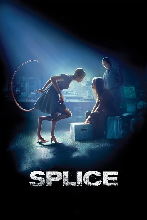 Splice - Vj Junior