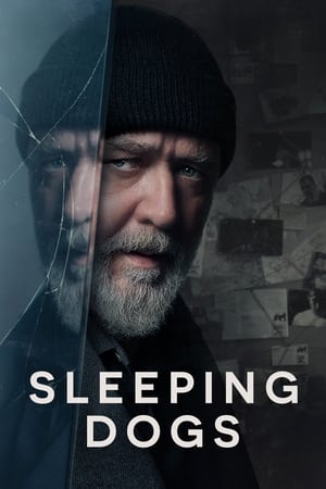 Sleeping Dogs - Vj Kevin