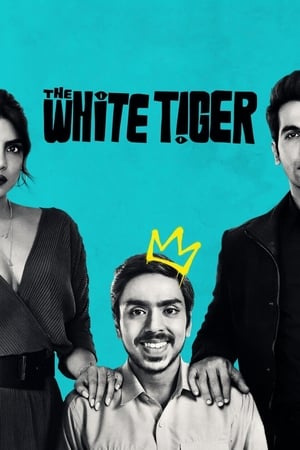 The White Tiger - Vj Jingo