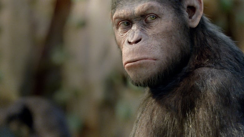 Rise of the Planet of the Apes - Vj Junior