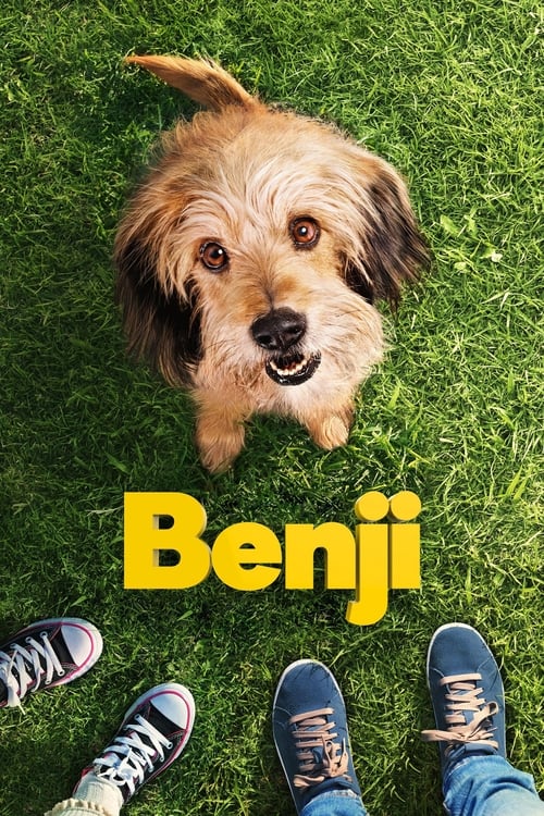 Benji - Vj Kevo