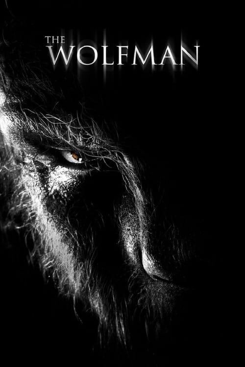 The Wolfman - Vj Junior