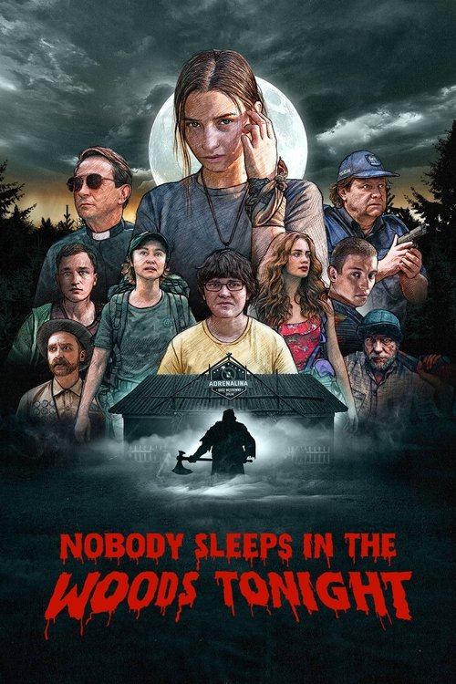 Nobody Sleeps in the Woods Tonight - Vj Emmy