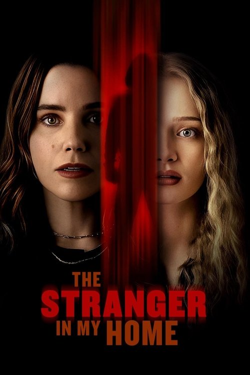 The Stranger in My Home - Vj Emmy