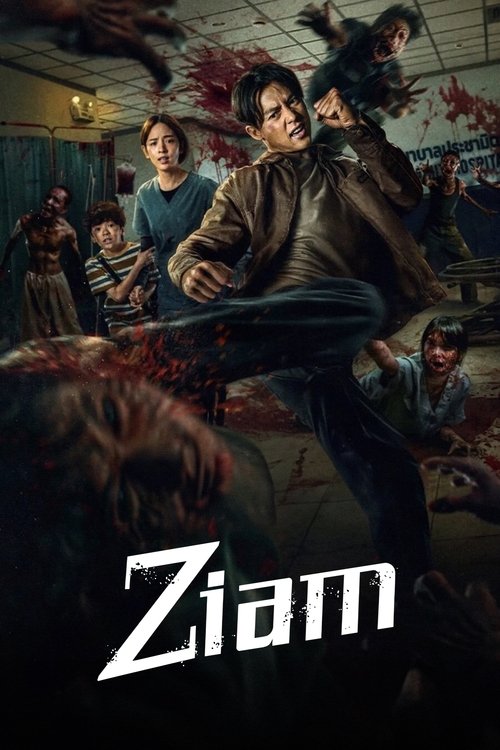 Ziam - Vj Emmy