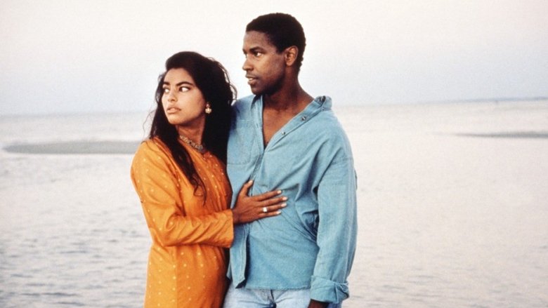 Mississippi Masala - Vj Junior