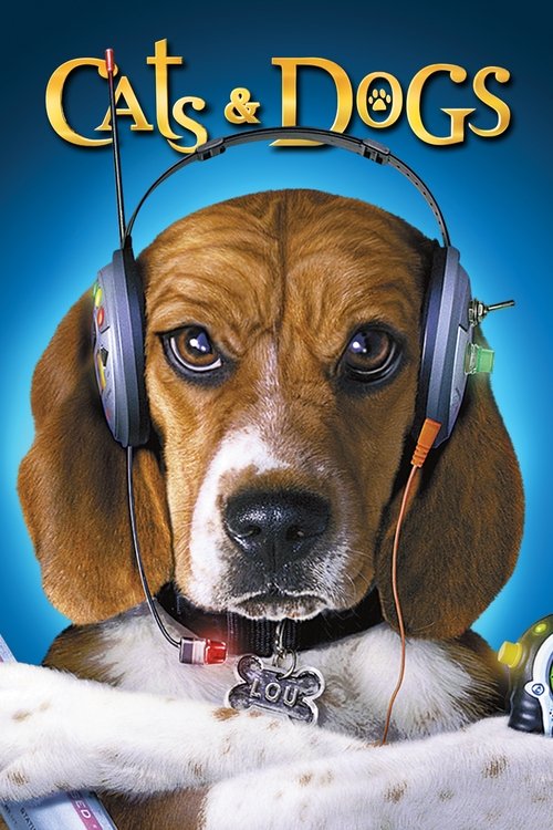 Cats & Dogs - Vj Emmy
