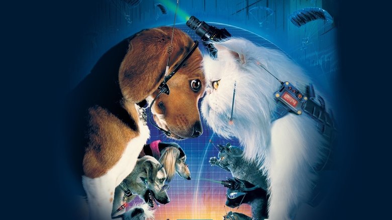 Cats & Dogs - Vj Emmy