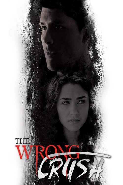 The Wrong Crush - Vj Junior