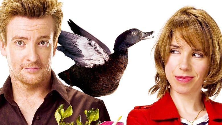 Love Birds - Vj Junior