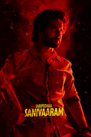 Saripodhaa Sanivaaram 1 - Vj Muba