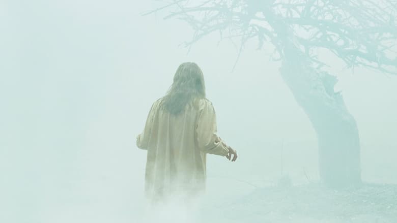 The Exorcism of Emily Rose - Vj Kriss S