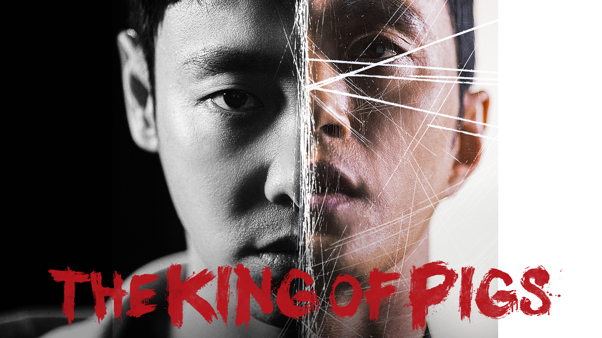 The King of Pigs - Vj Tonny