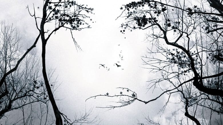 Premonition - Vj Ulio