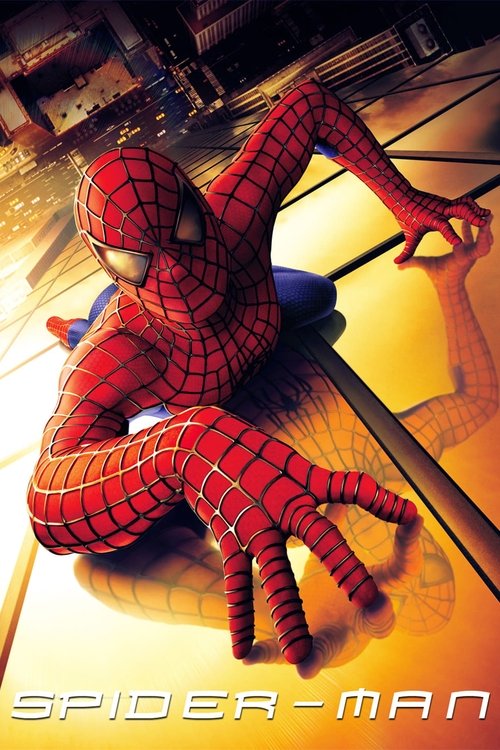 Spider-Man - Vj Junior