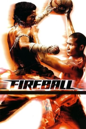 Fireball - Vj Junior