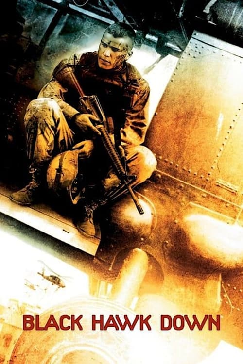 Black Hawk Down - Vj Ice P