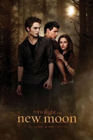The Twilight Saga: New Moon - Vj Junior