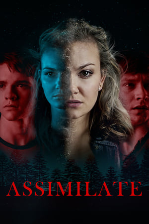 Assimilate - Vj Emmy