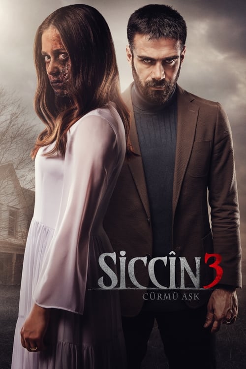 Sijjin 3: The Forbidden Love - Vj Soul