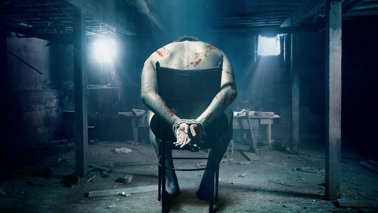 The Basement - Vj Kriss S