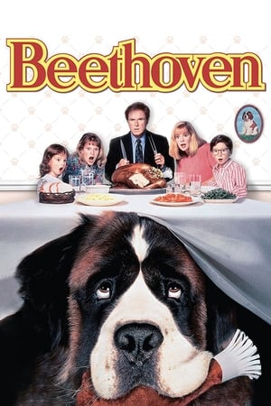 Beethoven - Vj Mark