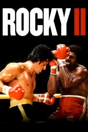 Rocky II - VJ Jingo