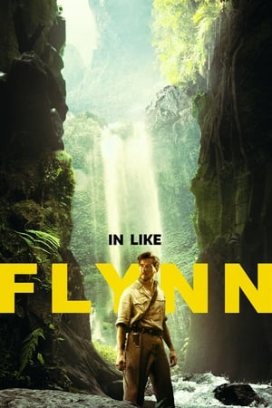 In Like Flynn - Vj Emmy