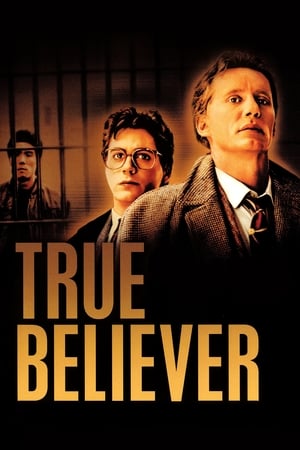 True Believer - Vj Mark