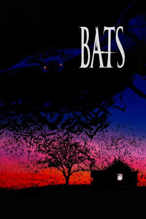 Bats - Vj Jingo