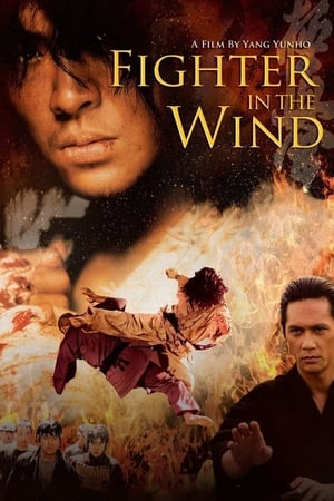Fighter in the Wind - Vj Ice P