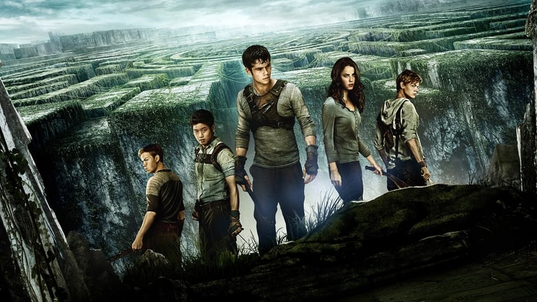 The Maze Runner - Vj Junior
