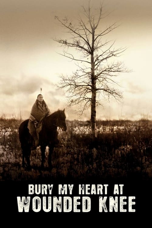 Bury My Heart at Wounded Knee - Vj Mark