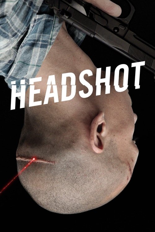 Headshot - Vj Shao K