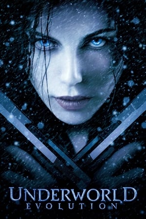 Underworld: Evolution - Vj Junior