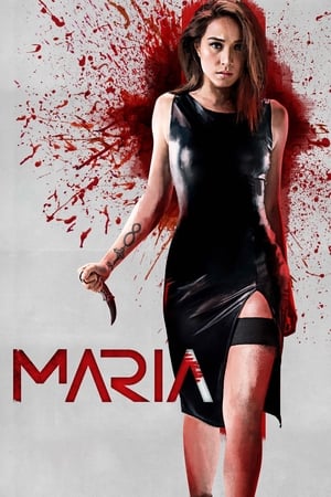 Maria - Vj Ice P
