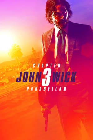 John Wick: Chapter 3 - Parabellum - Vj Junior